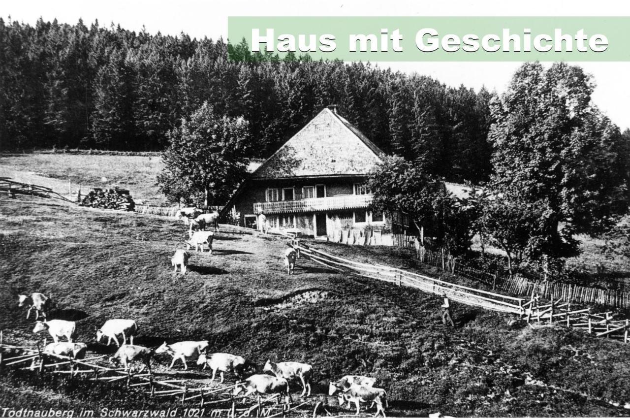 Wohlfuehl-Ferienwohnung 80 Qm, 8 Personen, Aussicht & Heimkino トートナウ エクステリア 写真